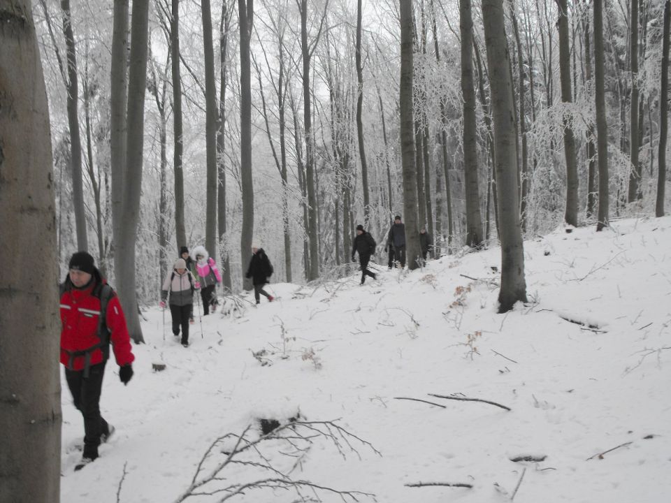 Wycieczka w Góry Sowie s002 - PTTK Strzelin