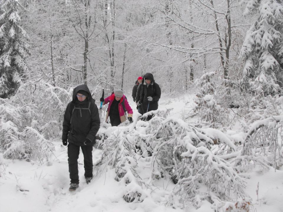 Wycieczka w Góry Sowie s002 - PTTK Strzelin