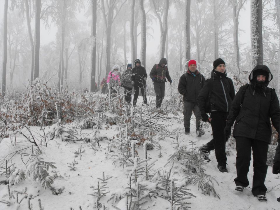 Wycieczka w Góry Sowie s002 - PTTK Strzelin