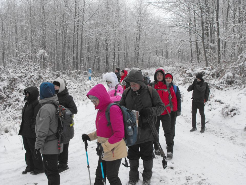 Wycieczka w Góry Sowie s002 - PTTK Strzelin