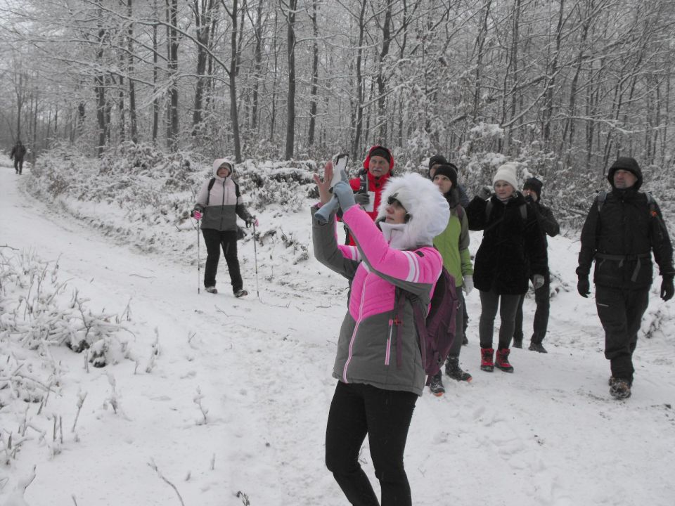 Wycieczka w Góry Sowie s002 - PTTK Strzelin