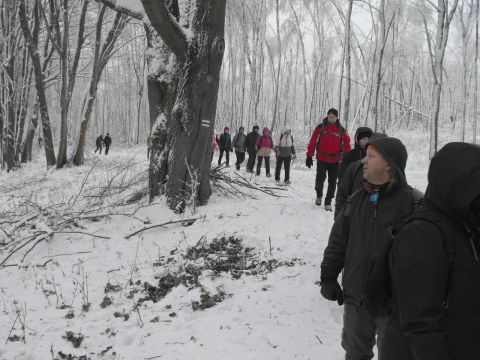 Wycieczka w Góry Sowie s102 - PTTK Strzelin