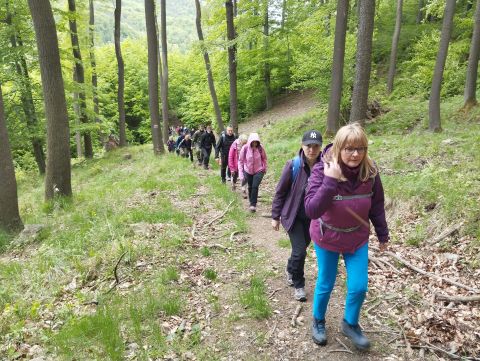 Wycieczka w Góry Sowie s7 - PTTK Strzelin