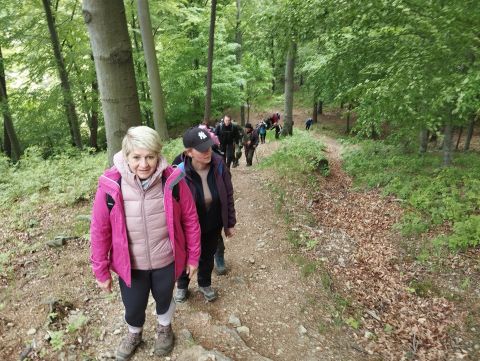 Wycieczka w Góry Sowie s8 - PTTK Strzelin