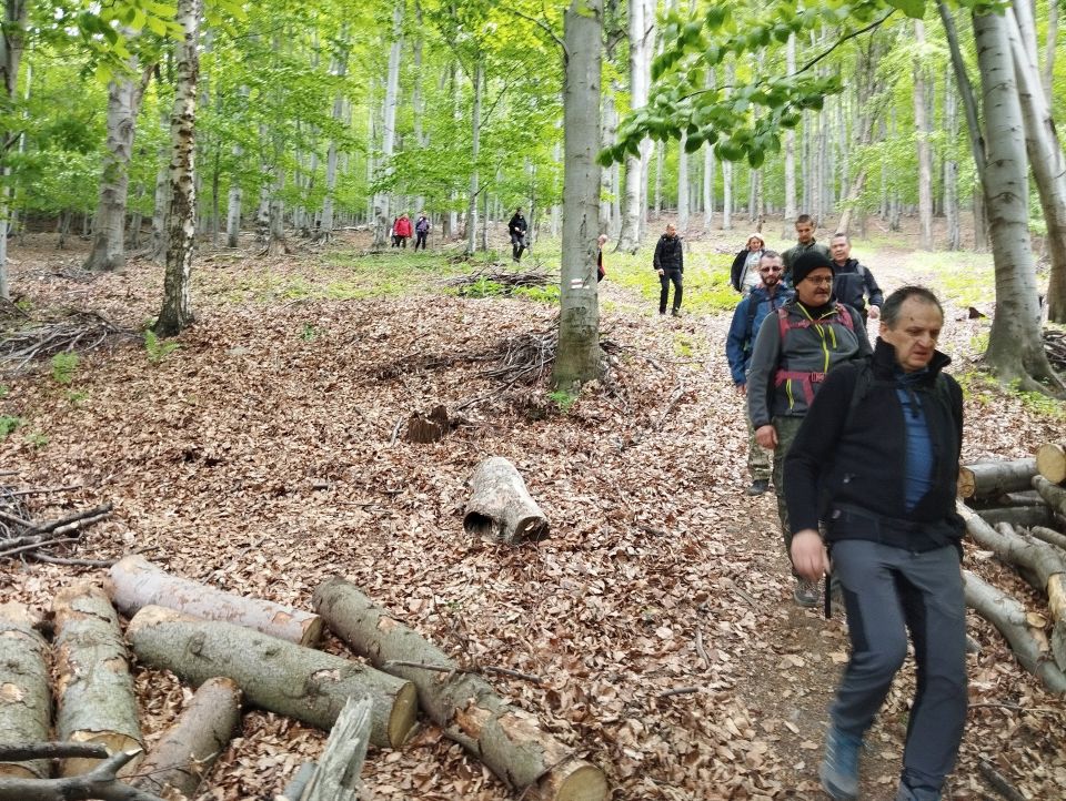 Wycieczka w Góry Sowie s002 - PTTK Strzelin