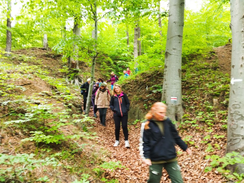 Wycieczka w Góry Sowie s002 - PTTK Strzelin