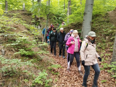 Wycieczka w Góry Sowie s24 - PTTK Strzelin