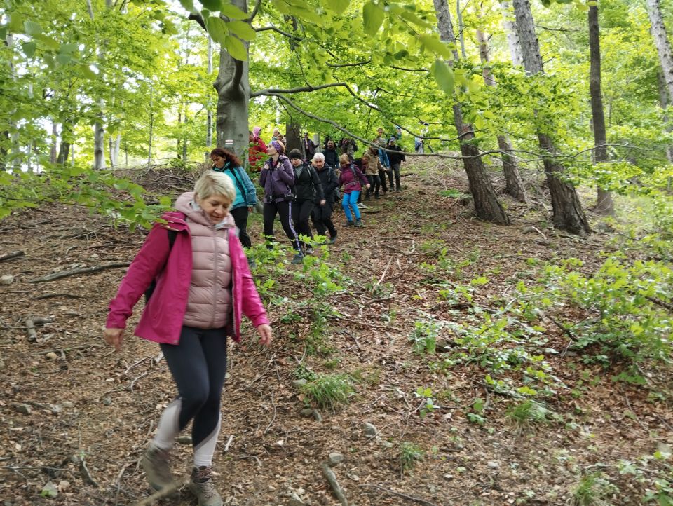 Wycieczka w Góry Sowie s002 - PTTK Strzelin