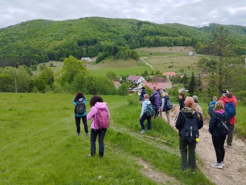 Wycieczka w Góry Sowie s32 - PTTK Strzelin