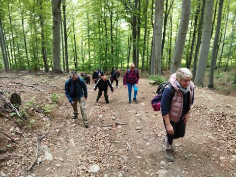 Wycieczka w Góry Sowie s34 - PTTK Strzelin