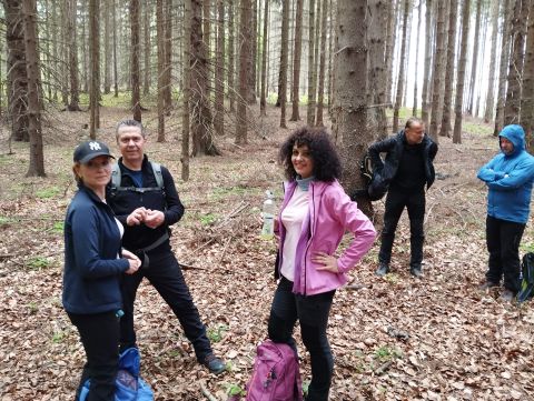 Wycieczka w Góry Sowie s37 - PTTK Strzelin