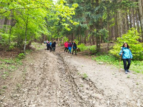 Wycieczka w Góry Sowie s40 - PTTK Strzelin