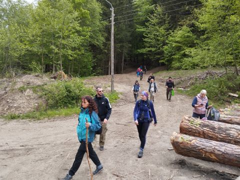 Wycieczka w Góry Sowie s41 - PTTK Strzelin