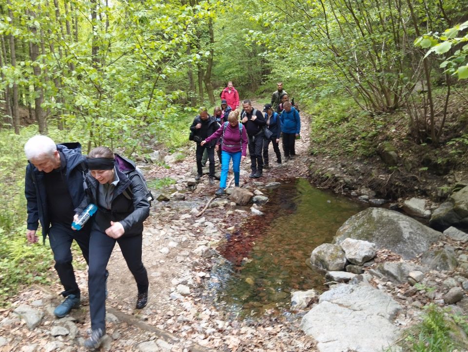 Wycieczka w Góry Sowie s002 - PTTK Strzelin