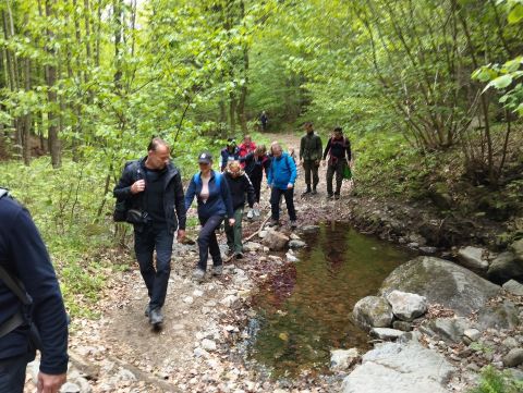 Wycieczka w Góry Sowie s47 - PTTK Strzelin