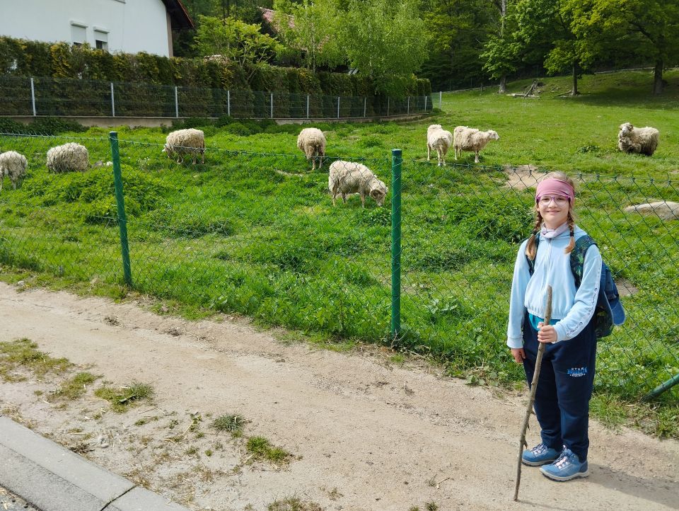 Wycieczka w Góry Sowie s002 - PTTK Strzelin