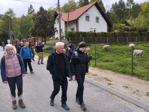 Wycieczka w Góry Sowie s81 - PTTK Strzelin