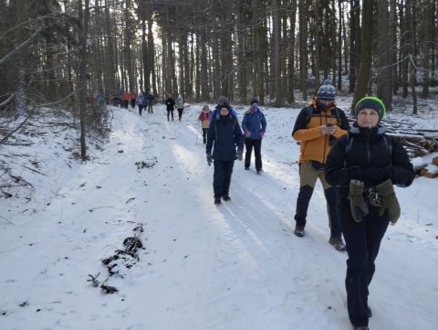 Wycieczka w Góry Sowie s40 - PTTK Strzelin