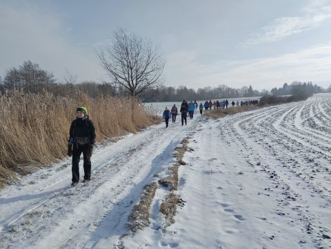 Wycieczka w Góry Sowie s44 - PTTK Strzelin