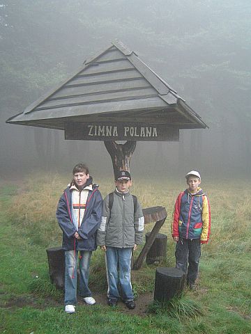 G�ry Sowie - Zimna Polana