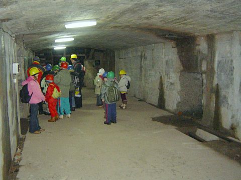 Wycieczka w Góry Sowie s18 - PTTK Strzelin