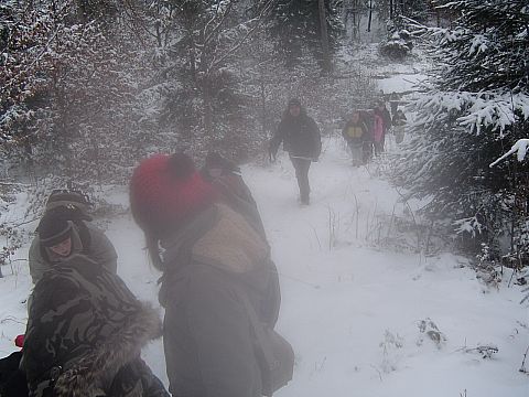 Wycieczka w Góry Sowie s33 - PTTK Strzelin