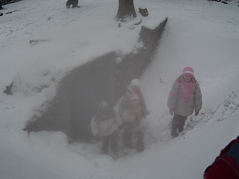 Wycieczka w Góry Sowie s36 - PTTK Strzelin