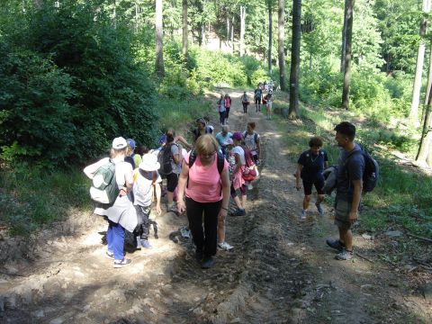 W drodze na Bielawsk� Polank� s017 - PTTK Strzelin