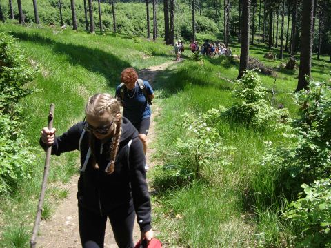 Podej�cie na Kalenic� s049 - PTTK Strzelin