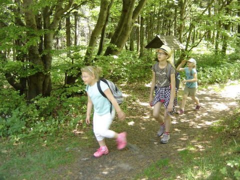 Kalenica s055 - PTTK Strzelin