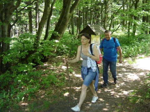 Kalenica s056 - PTTK Strzelin