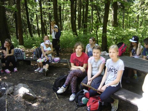 Kalenica s062 - PTTK Strzelin