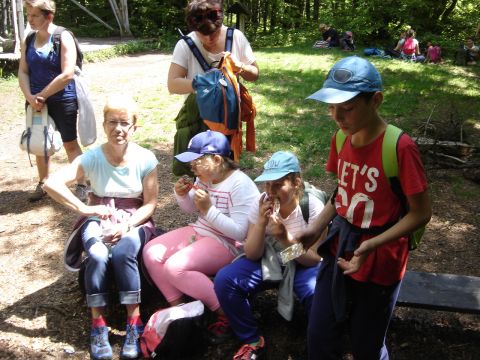 Kalenica s063 - PTTK Strzelin