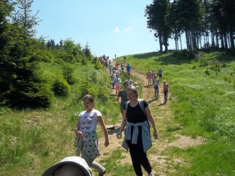 Zej�cie do schroniska PTTK 'Zygmunt�wka' s079 - PTTK Strzelin