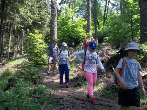 Zej�cie do schroniska PTTK 'Zygmunt�wka' s080 - PTTK Strzelin