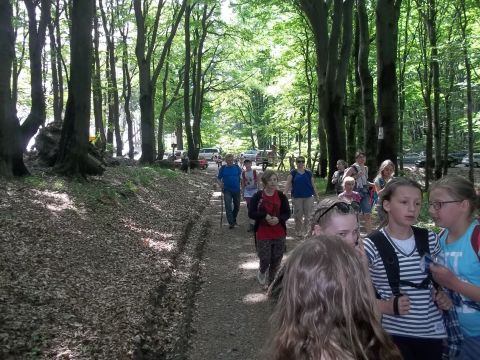 W drodze na Trzy Buki s095 - PTTK Strzelin