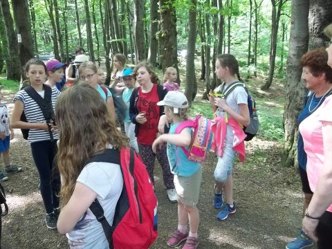 W drodze na Trzy Buki s096 - PTTK Strzelin