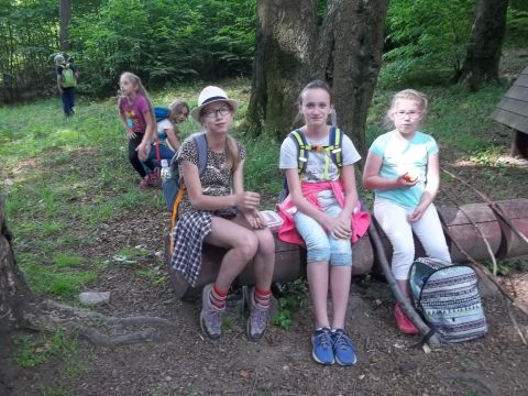 Trzy Buki s100 - PTTK Strzelin