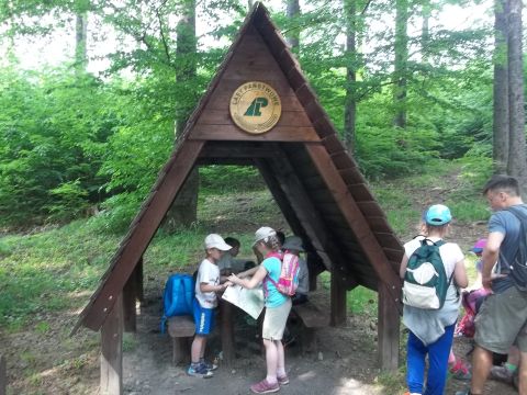 Trzy Buki s102 - PTTK Strzelin