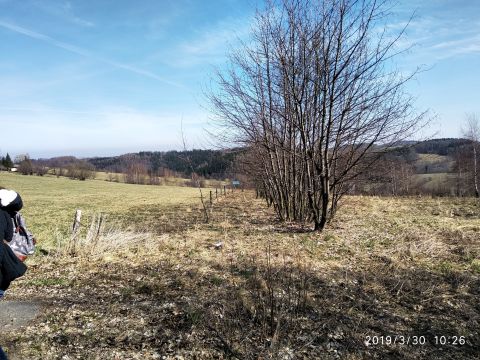 Na trasie z Walimia do Zag�rza s011 - PTTK Strzelin