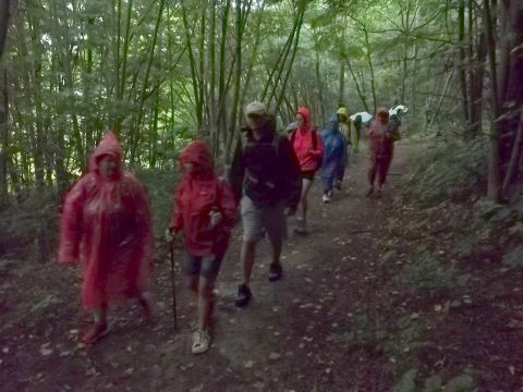 Wycieczka w Góry Wałbrzyskie i Sowie s5 - PTTK Strzelin