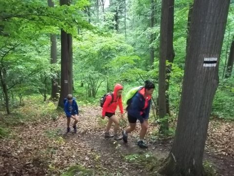 Wycieczka w Góry Wałbrzyskie i Sowie s8 - PTTK Strzelin