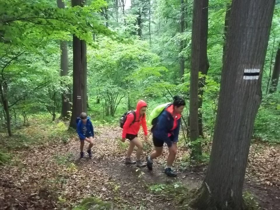 Wycieczka w Góry Wałbrzyskie i Sowie s002 - PTTK Strzelin