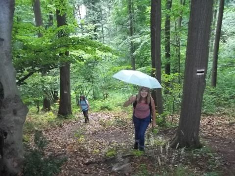 Wycieczka w Góry Wałbrzyskie i Sowie s10 - PTTK Strzelin