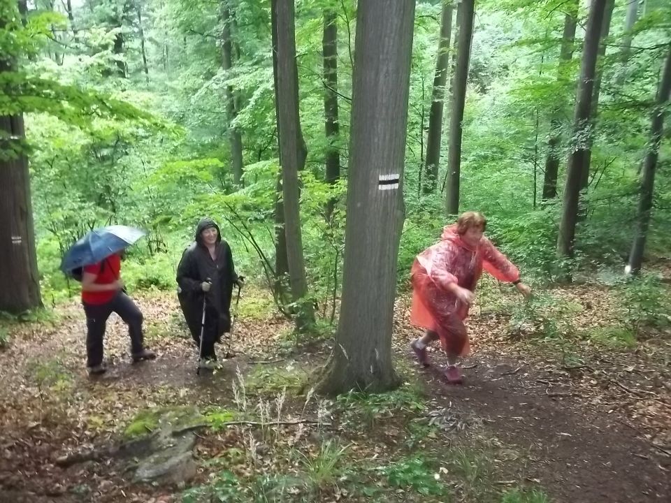 Wycieczka w Góry Wałbrzyskie i Sowie s002 - PTTK Strzelin