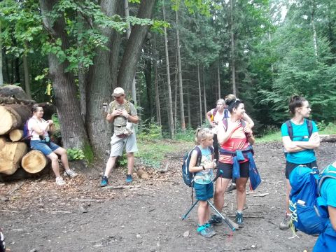 Wycieczka w Góry Wałbrzyskie i Sowie s33 - PTTK Strzelin