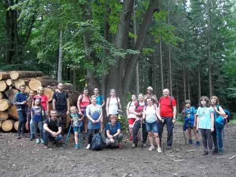 Wycieczka w Góry Wałbrzyskie i Sowie s36 - PTTK Strzelin