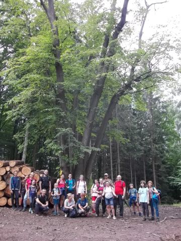 Wycieczka w Góry Wałbrzyskie i Sowie s39 - PTTK Strzelin