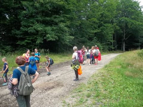 Wycieczka w Góry Wałbrzyskie i Sowie s41 - PTTK Strzelin