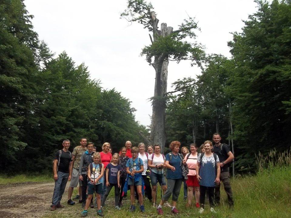 Wycieczka w Góry Wałbrzyskie i Sowie s002 - PTTK Strzelin